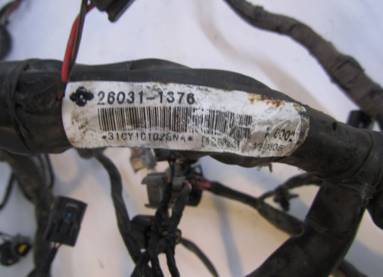 Kabelboom Kawasaki ER 6