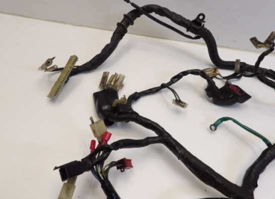 Wire Harness Honda VT 700 750