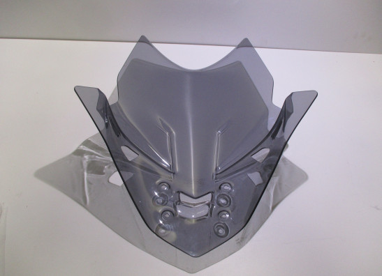 Windscherm Yamaha MT 10