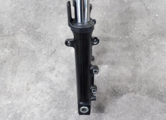 Voorpoten compleet Kawasaki ZRX 1100 1200