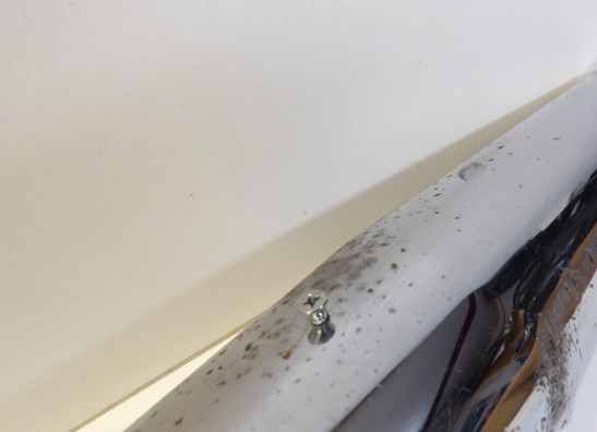 Auspuff Honda CMX 450