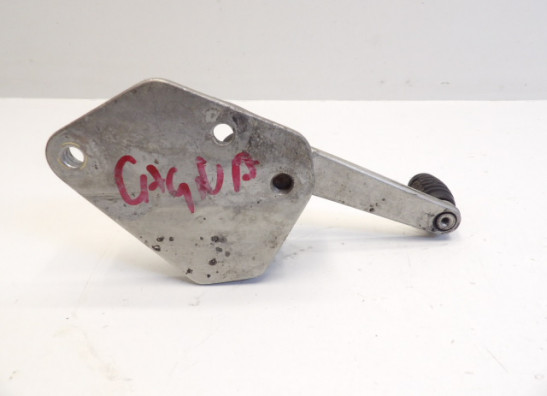 Schetsplaat links Ducati Paso