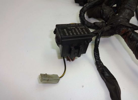 Kabelbaum Kawasaki ER 6