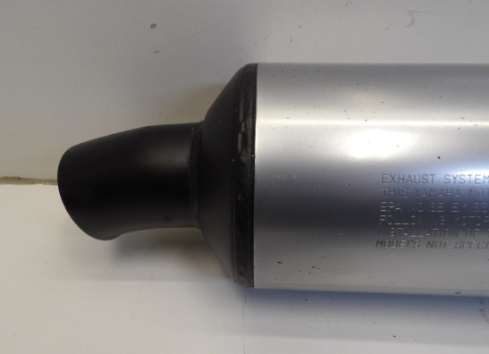 Muffler Yamaha FZR 600