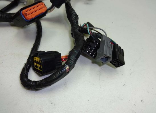 Kabelboom Kawasaki ZX 6 R