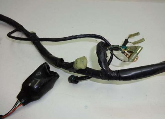 Kabelbaum Honda CB 600 F