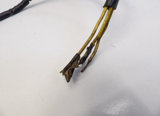 Dynamo Suzuki GSX 750