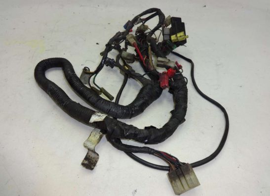 Kabelboom Yamaha FZR 600