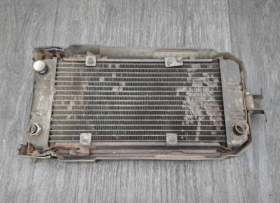 Kuhler Honda VT 1100