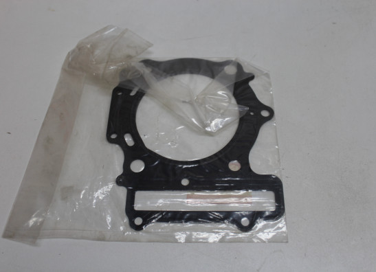 Pakking Suzuki TL 1000