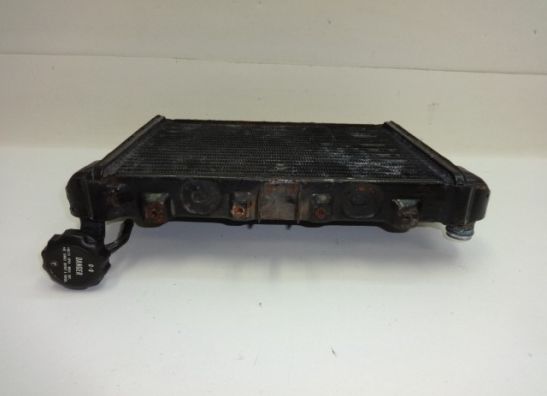 Radiateur Honda VF 700  750 S Sabre