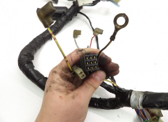 Wire Harness Kawasaki ER 5