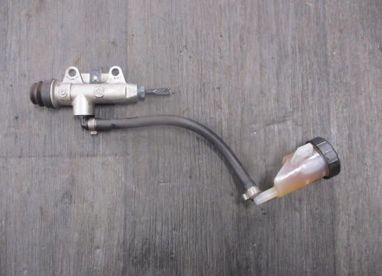 Rempomp achter BMW F 800 R 2009-2014