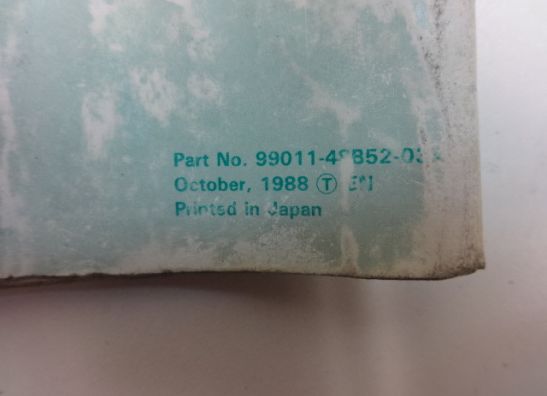 Manuel Suzuki GSX F 1100