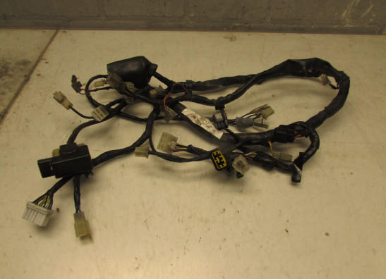 Wire Harness Yamaha YZF 600 Thundercat