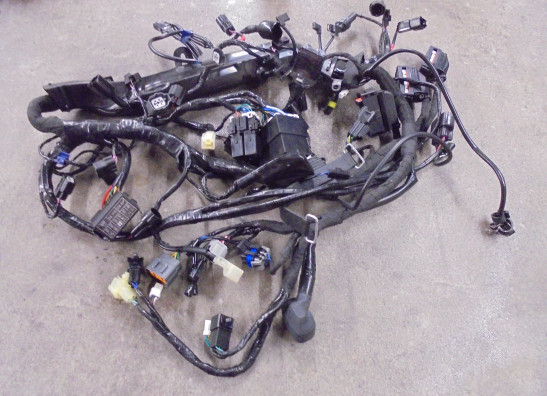 Kabelbaum Triumph Thruxton TFC