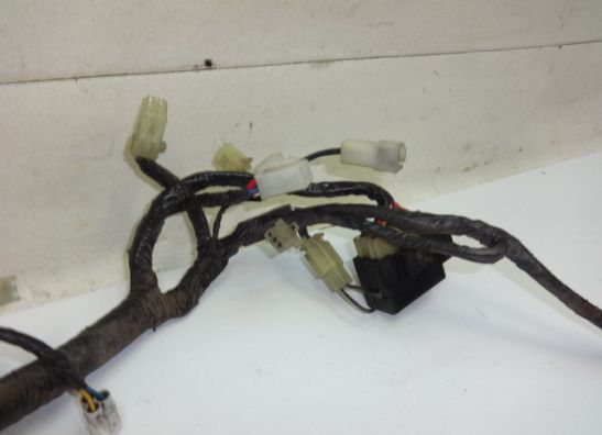 Wire Harness Yamaha YZF 600 Thundercat