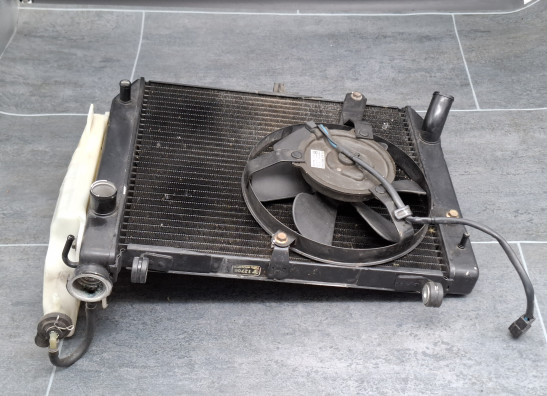 Radiator Yamaha YZF R1