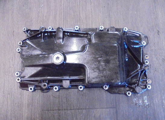 Carterpan BMW F 900 R 2019-2021