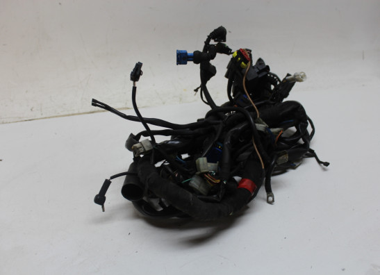 Kabelboom Moto Guzzi 1200 sport