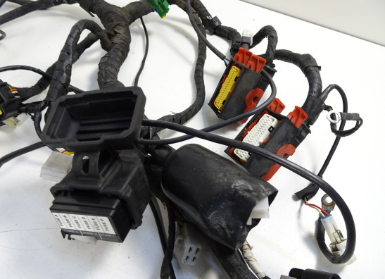 Wire Harness Aprilia Dorsoduro 750