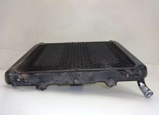 Kuhler Kawasaki GPX 600