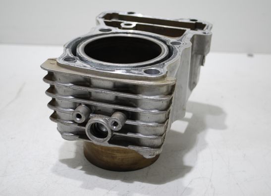 Cilinderblok Honda TRANSALP