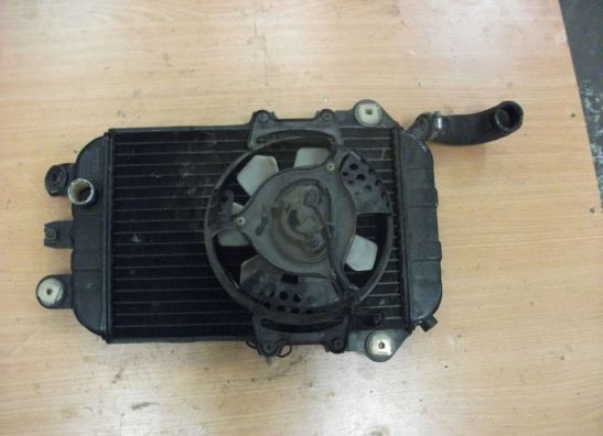 Radiateur Kawasaki VN 700  750