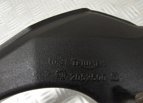 Swingarm Triumph Tiger 800