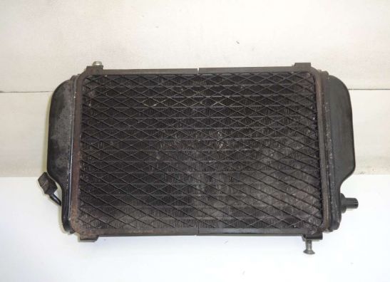 Radiateur Kawasaki EL 250