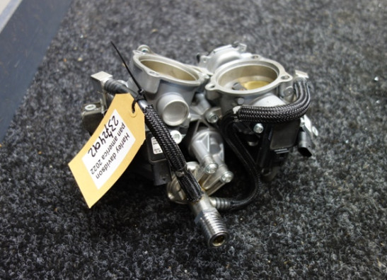 Einspritzanlage Harley Davidson Pan America