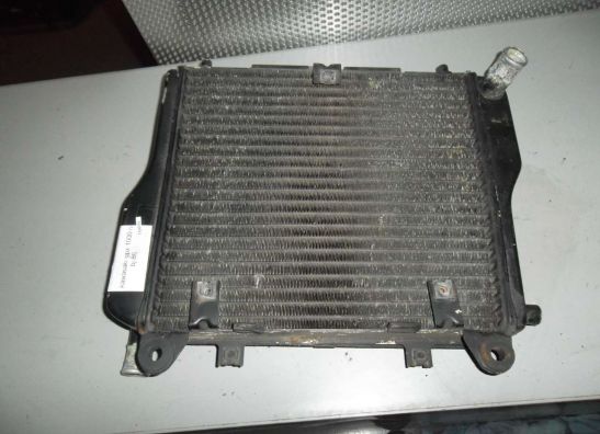 Radiator Kawasaki GPZ 1000