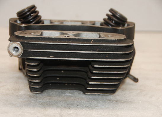 Zylinderkopf Harley Davidson Softtail