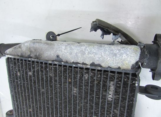 Radiateur Yamaha YZF R6