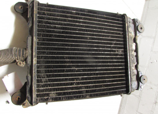 Kuhler Honda Goldwing GL