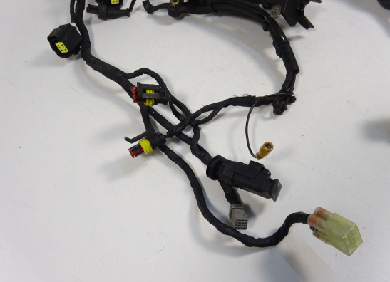 Kabelboom Ducati monster 796