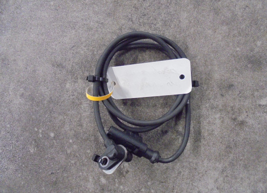 ABS sensor fuhler hinten Ducati Scrambler Cafe Racer