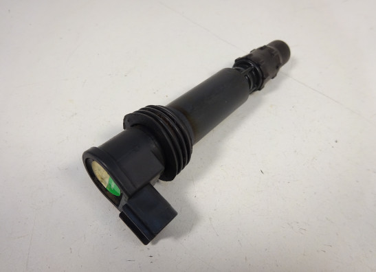 Bobine Triumph Tiger 800 2010-2014