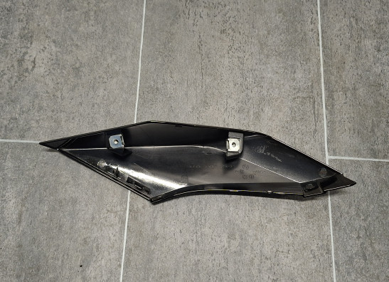 Linker achterkant BMW R 1250 RS