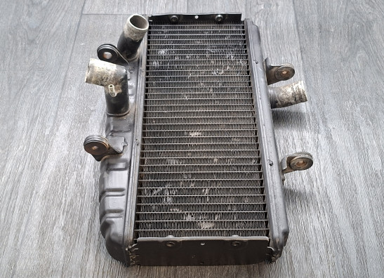 Radiator Suzuki GT 750