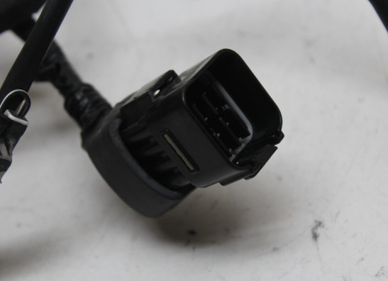 Kabelbaum vorne Suzuki GSX R 1000