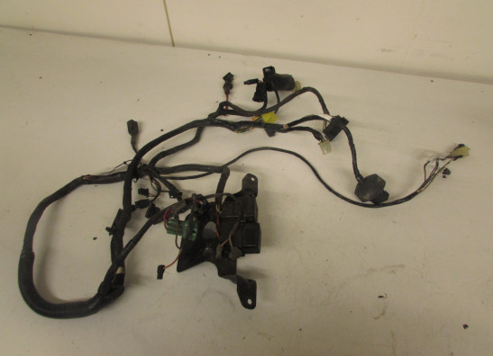 Kabelboom voor Suzuki GSX F 600