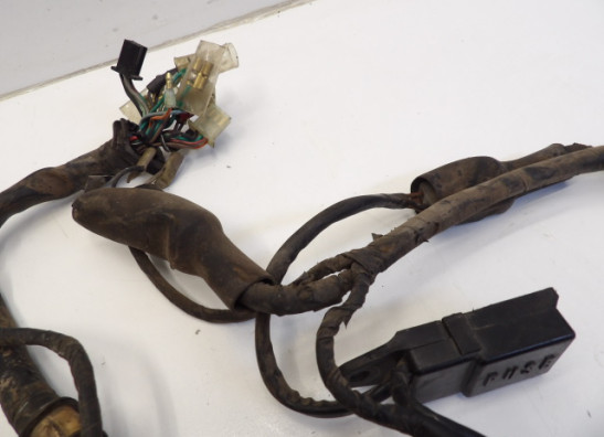 Wire Harness Honda CMX 250 