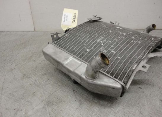 Radiator Suzuki GSX R 1000