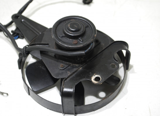 Fan Yamaha GTS 1000