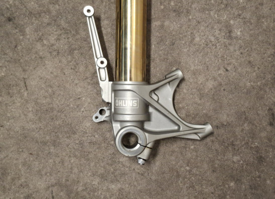 Standrohr Gabelholm links komplett Ducati Multistrada 1200