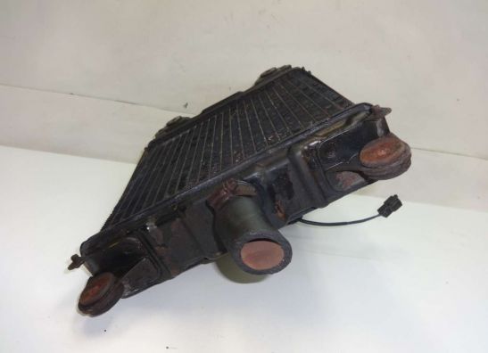 Kuhler Honda Goldwing GL