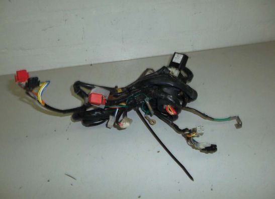 Kabelboom Honda Lead