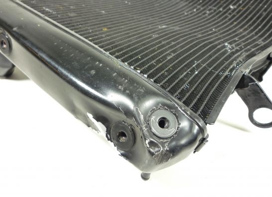 Radiator Yamaha FZ1