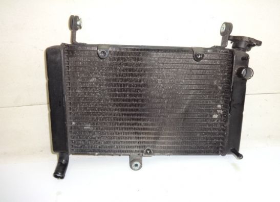 Radiateur Yamaha YZF 600 Thundercat